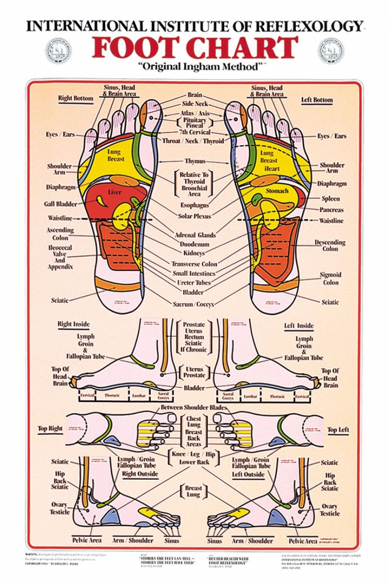 31 Printable Foot Reflexology Charts &amp;amp; Maps ᐅ Templatelab for Reflexology Chart Printable Free