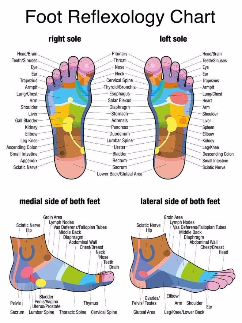 31 Printable Foot Reflexology Charts &amp;amp; Maps ᐅ Templatelab pertaining to Reflexology Chart Printable Free