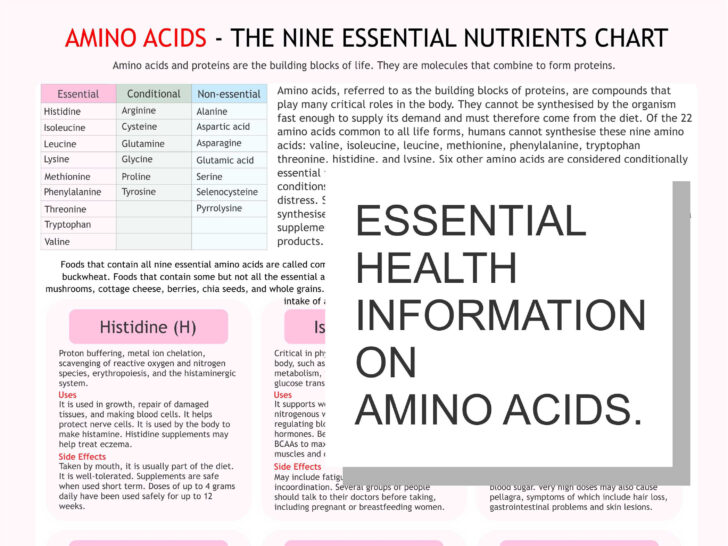 Amino Acid Chart Printable