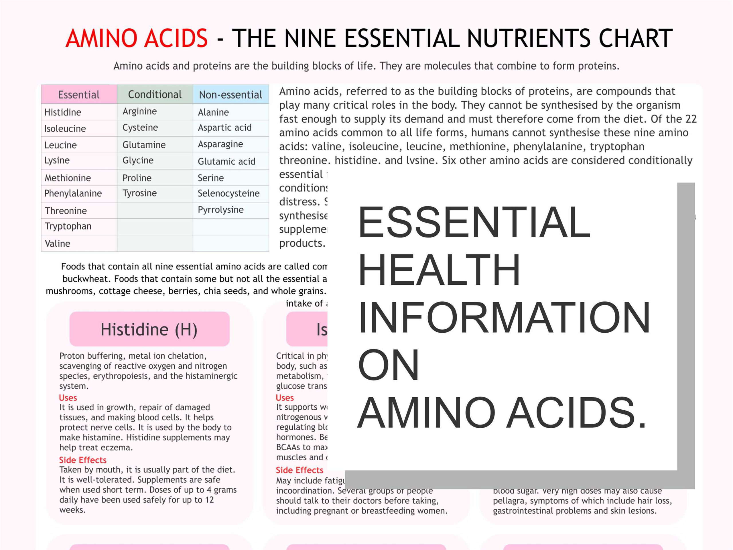 Amino Acids Chart, Digital Download Pdf, Essential Amino Acid throughout Amino Acid Chart Printable