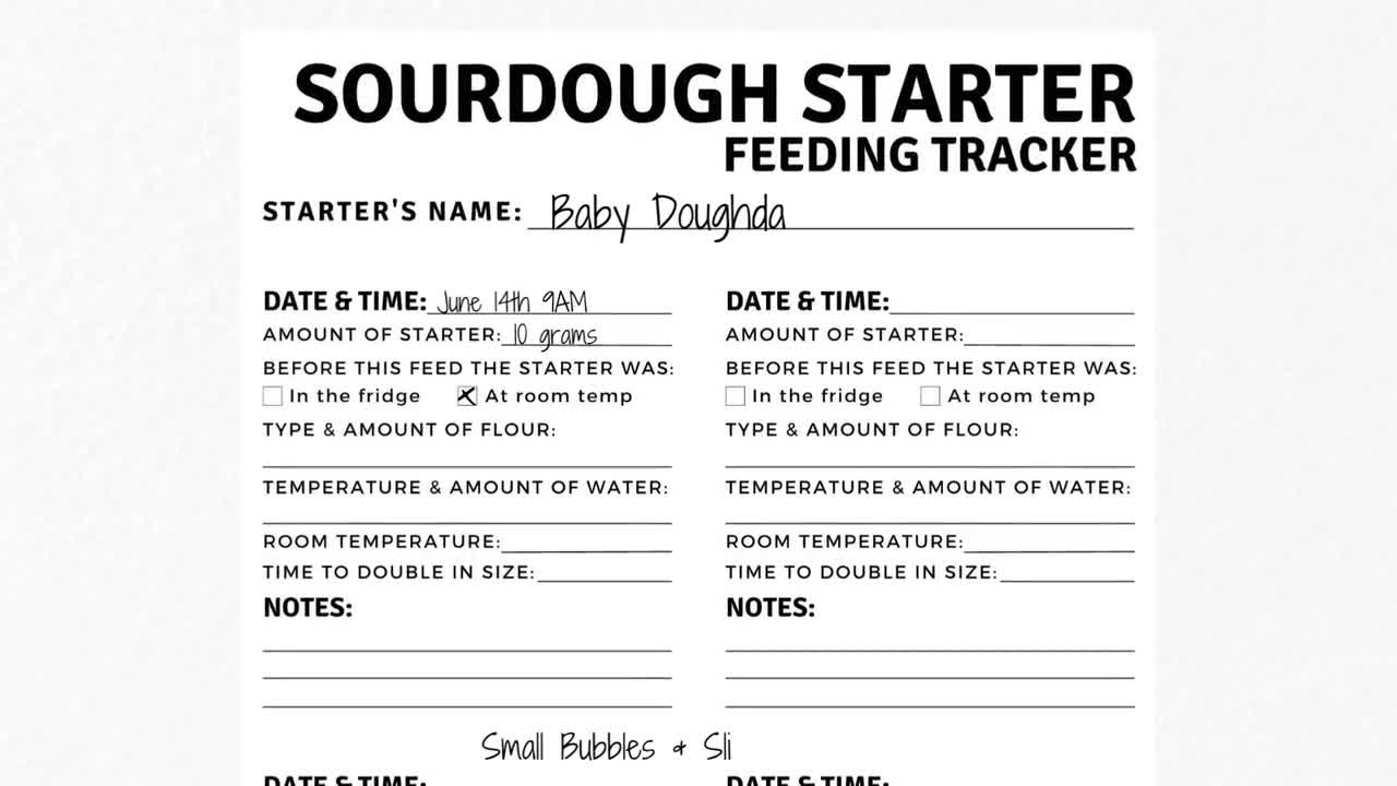 Beginner Sourdough Starter Feeding Tracker - Printable Digital Download inside Sourdough Starter Chart Printable