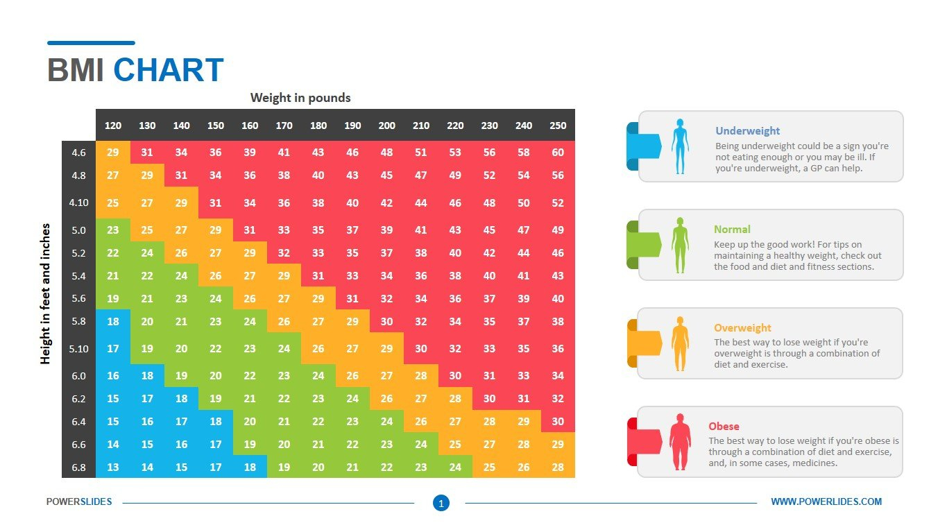 Bmi Chart Template | Download &amp;amp; Edit | Powerslides™ intended for Bmi Chart Printable Free