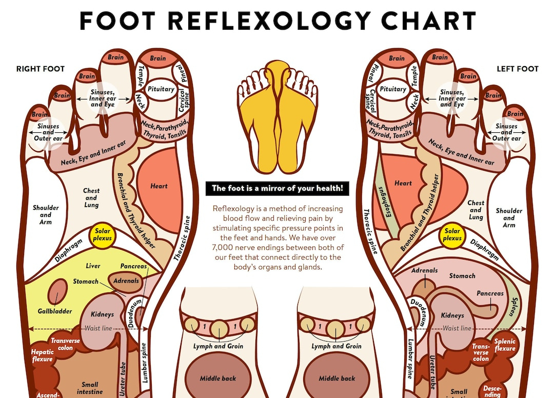 Buy Foot Acupressure And Reflexology Chart, Printable/ Instant Download Massage Technique, Labeled Foot Map/ Information Chart/ Poster/ Wall Art inside Foot Reflexology Chart Printable