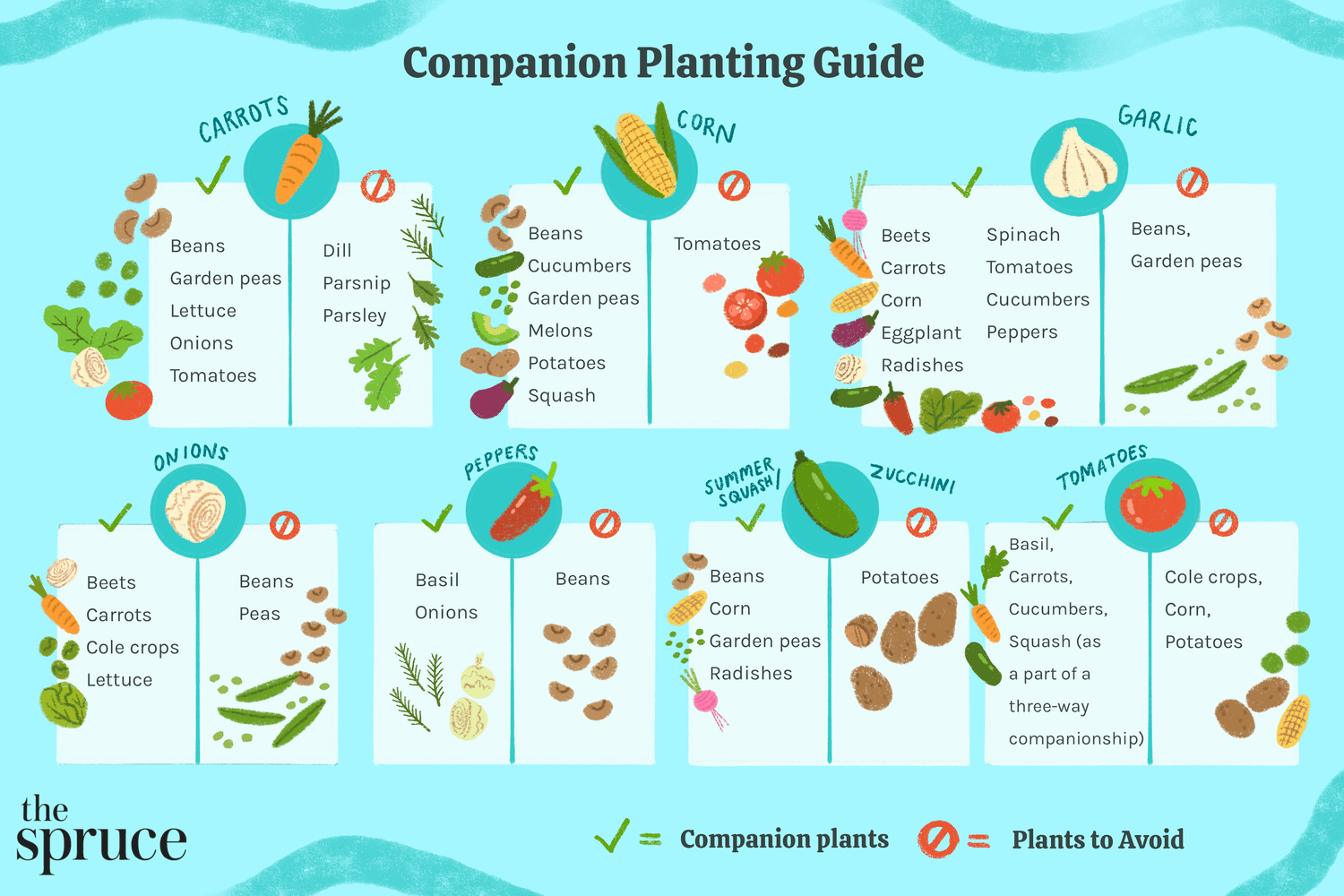 Companion Planting Chart And Guide For Vegetable Gardens pertaining to Vegetable Companion Planting Chart Printable