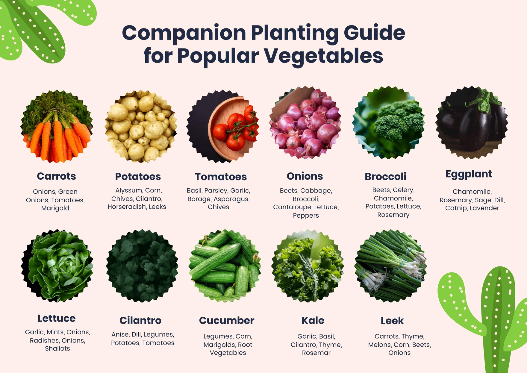Companion Planting Chart For Popular Vegetables In Pdf for Vegetable Companion Planting Chart Printable