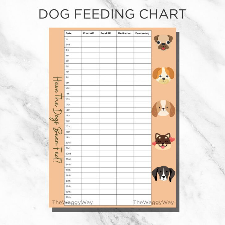 Dog Feeding Chart Printable