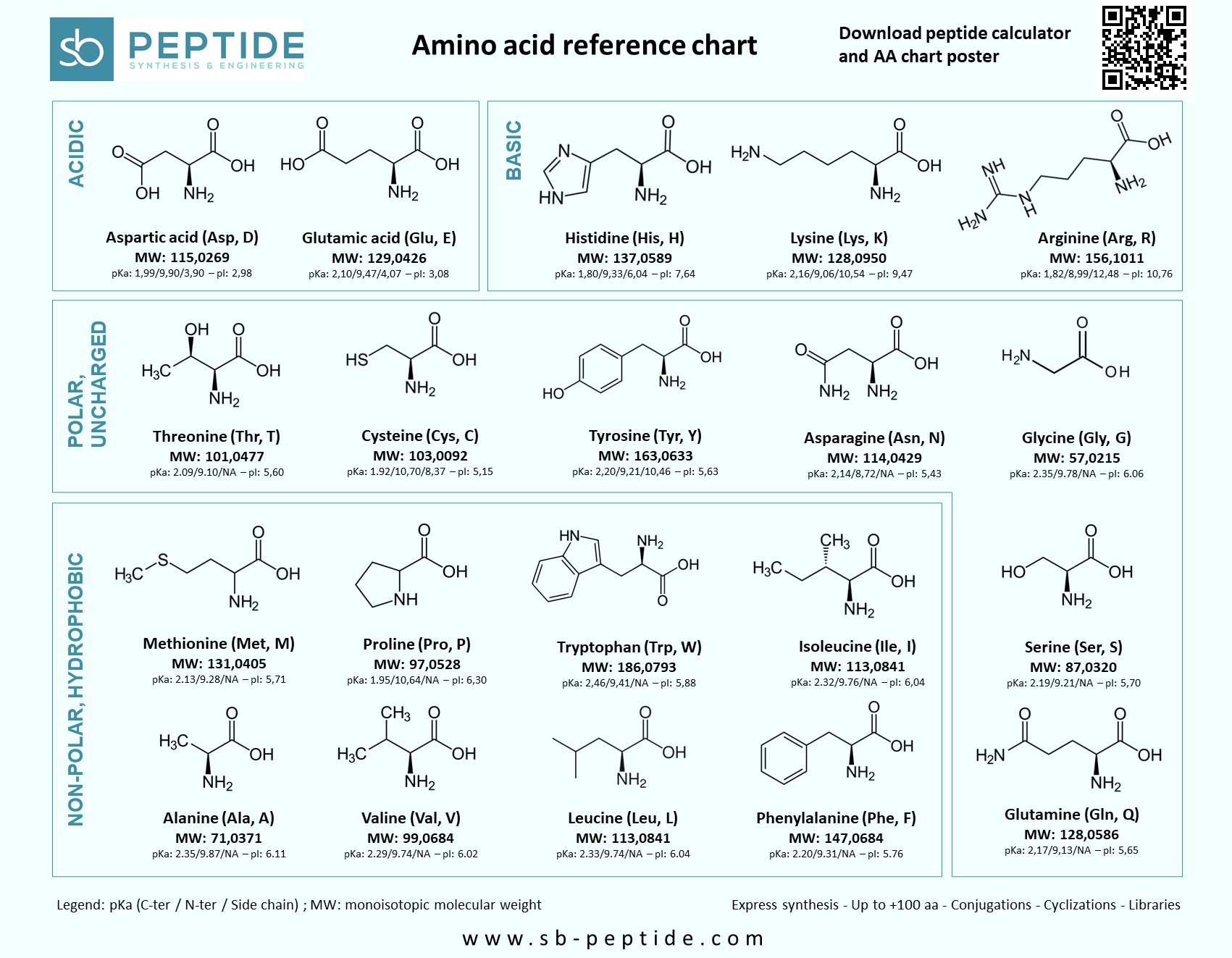 Download Amino Acids Chart And Reference Table intended for Amino Acid Chart Printable