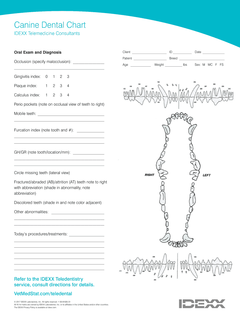 Feline Dental Chart - Fill Online, Printable, Fillable, Blank pertaining to Canine Dental Chart Printable