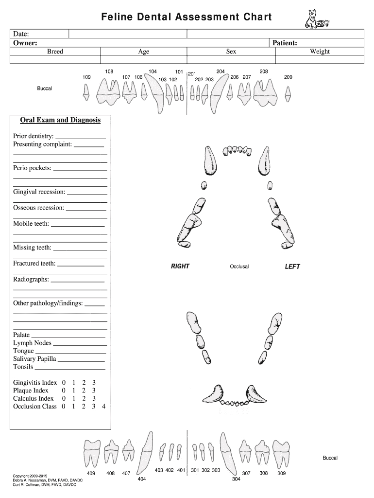 Feline Dental Chart Pdf - Fill Online, Printable, Fillable, Blank intended for Feline Dental Chart Printable