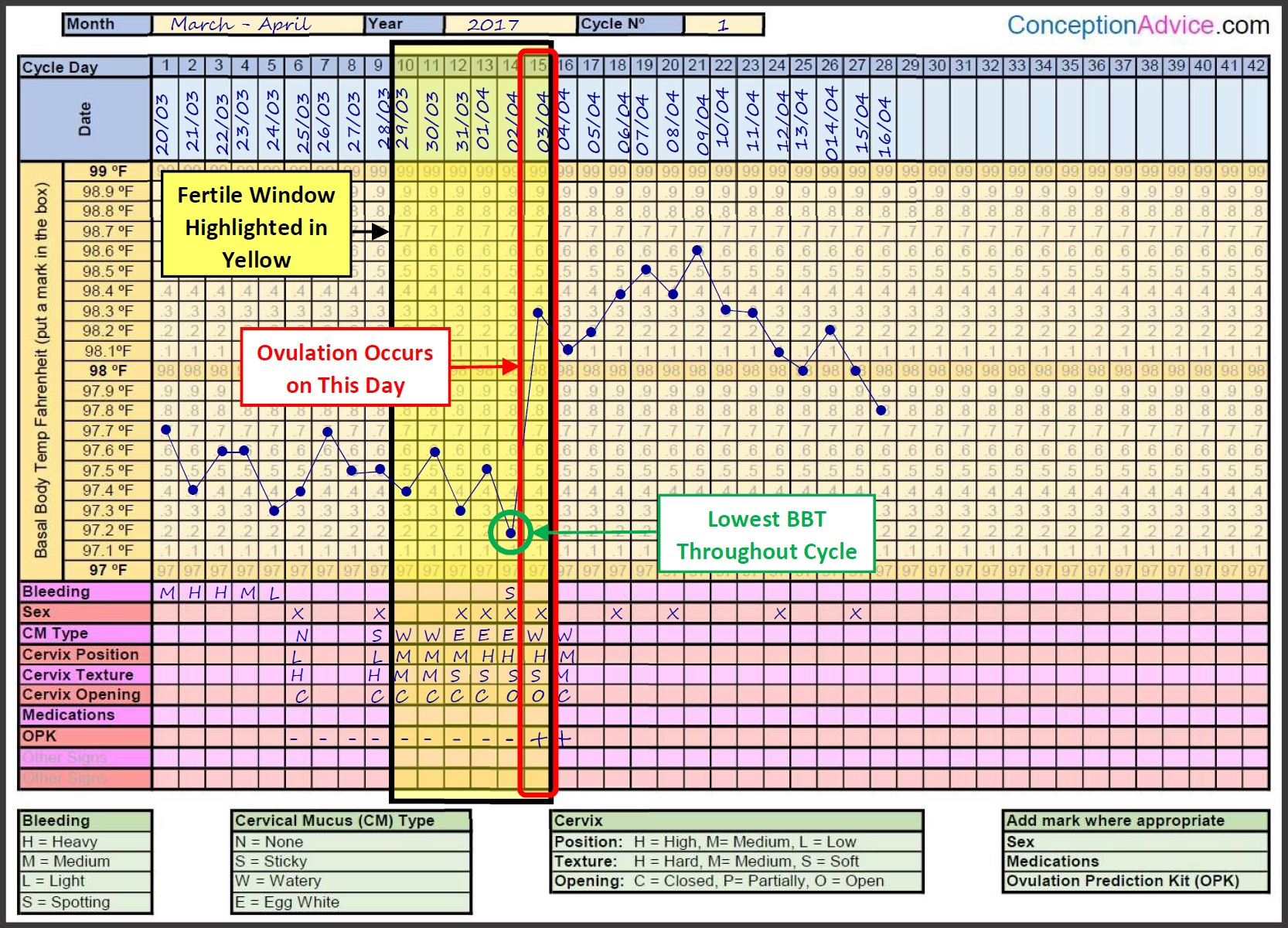 Fertility Charting – Fertile Window Calculator | Conception Advice with Fertility Chart Printable