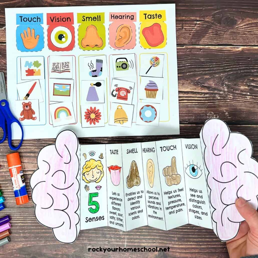 Five Senses Printables Pack For Sorting Fun And More (Free) - Rock for Five Senses Chart Printable
