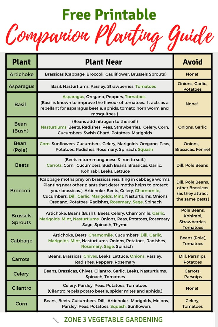 Free Printable Companion Planting Guide throughout Vegetable Companion Planting Chart Printable
