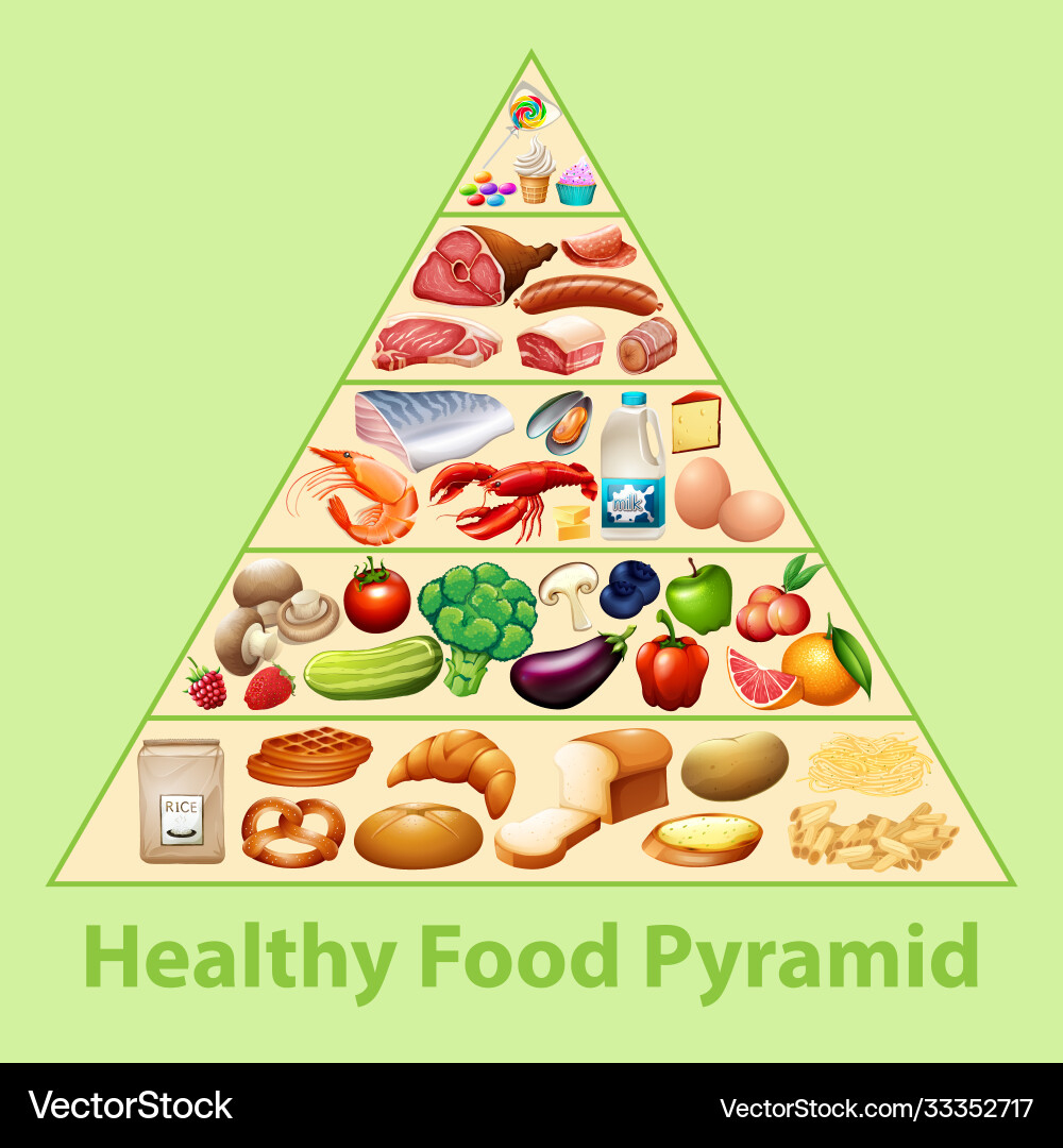 Gesunde Speisepyramide Diagramm Lizenzfreies Vektorbild pertaining to Healthy Food Chart Printable