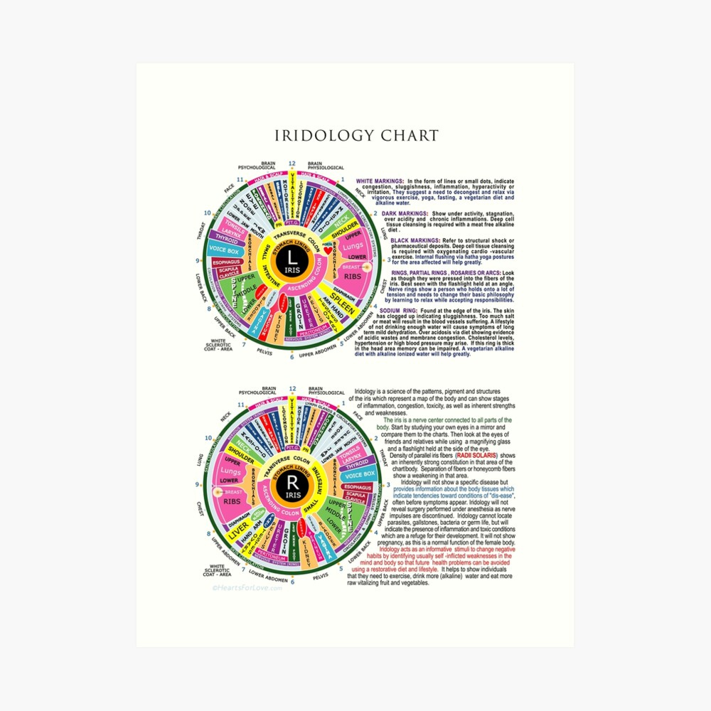 Iridology Chart For Complementary Diagnosis Via The Eyes&amp;quot; Art with regard to Iridology Chart Printable