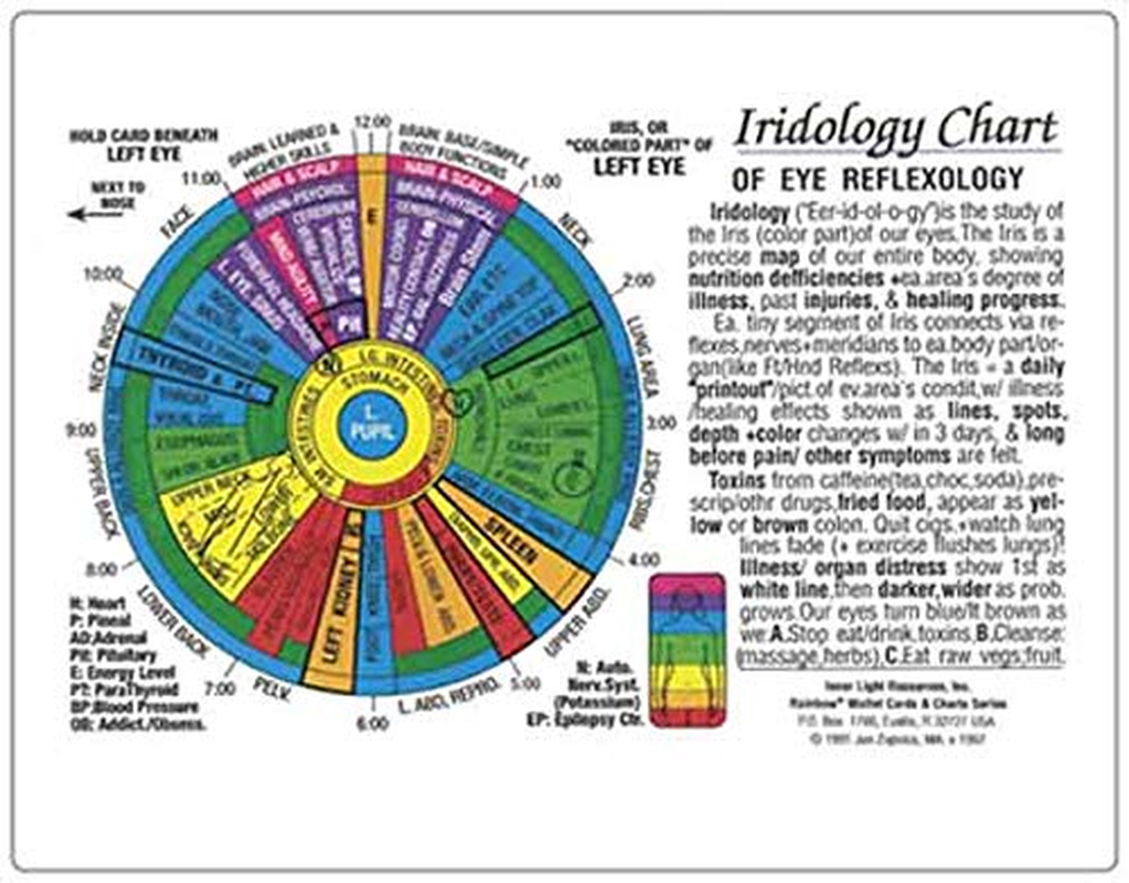 Iridology Chart Of Eye Reflexology (Rainbow Coded) In The Inner in Iridology Chart Printable