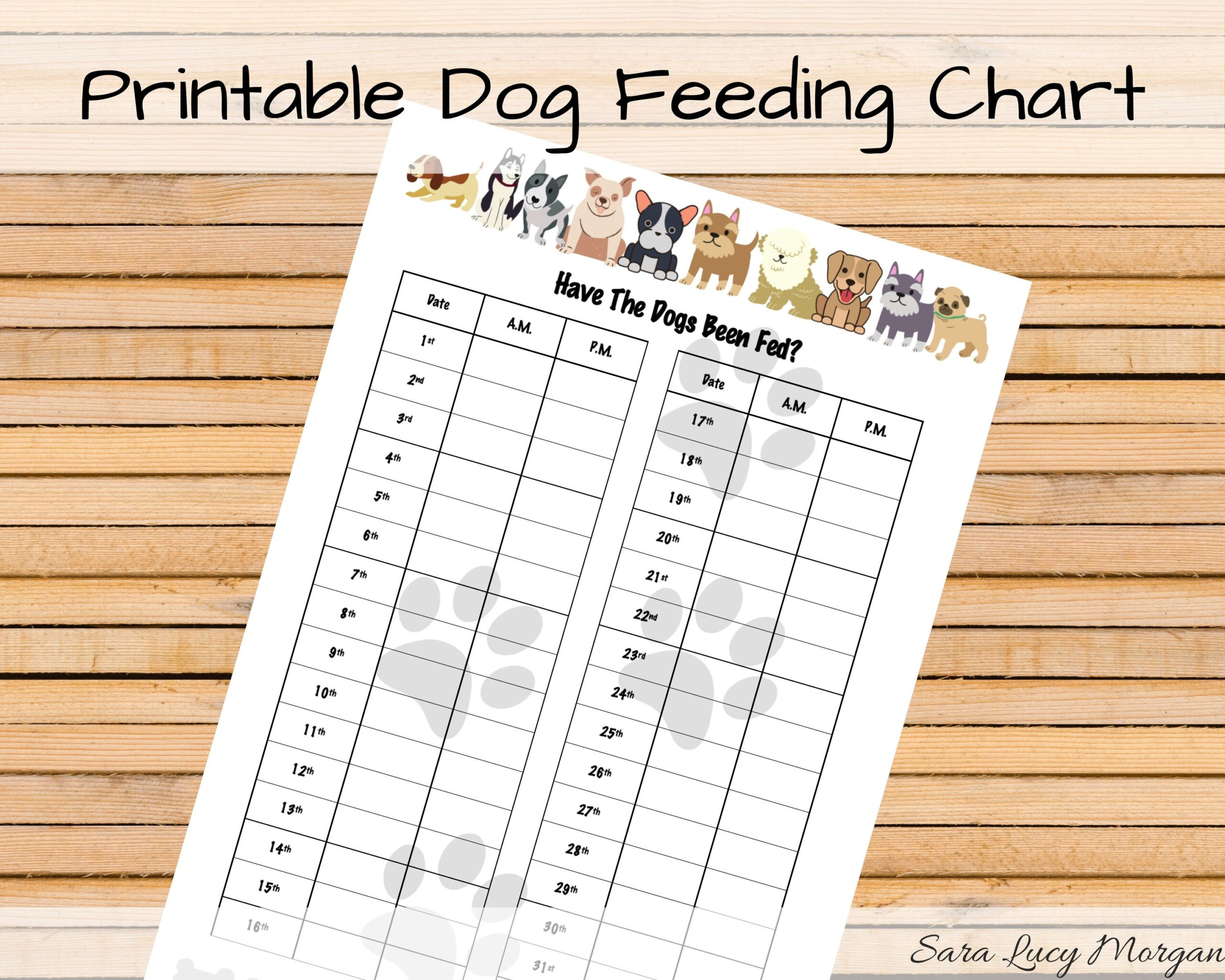 Monthly Printable Dog Feeding Chart. Dog Food Schedule. Pet Food with regard to Dog Feeding Chart Printable