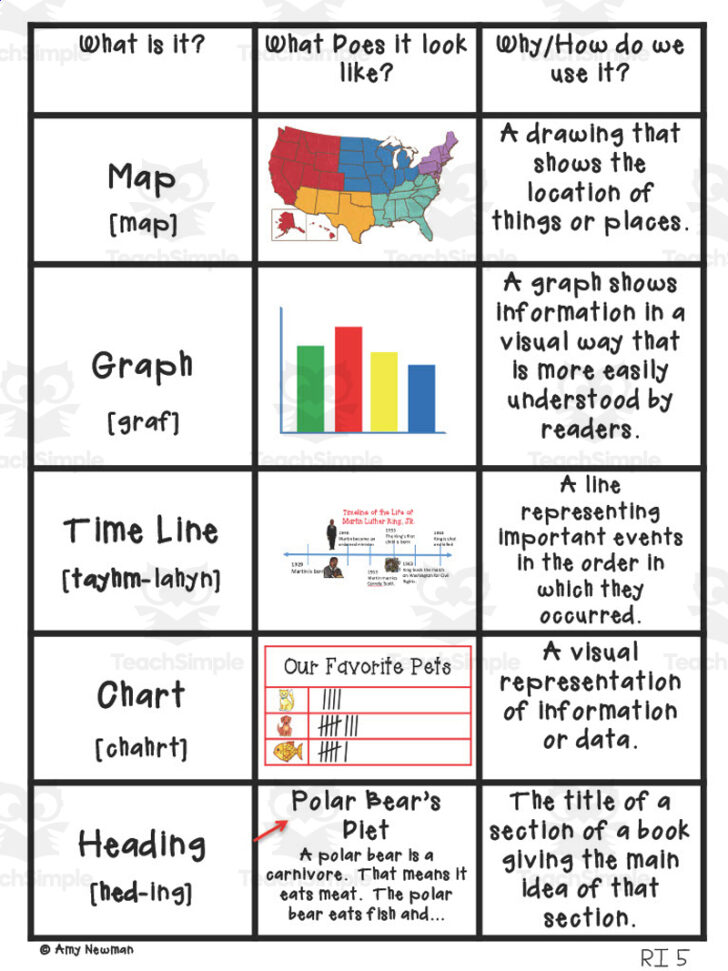 Text Features Anchor Chart Printable