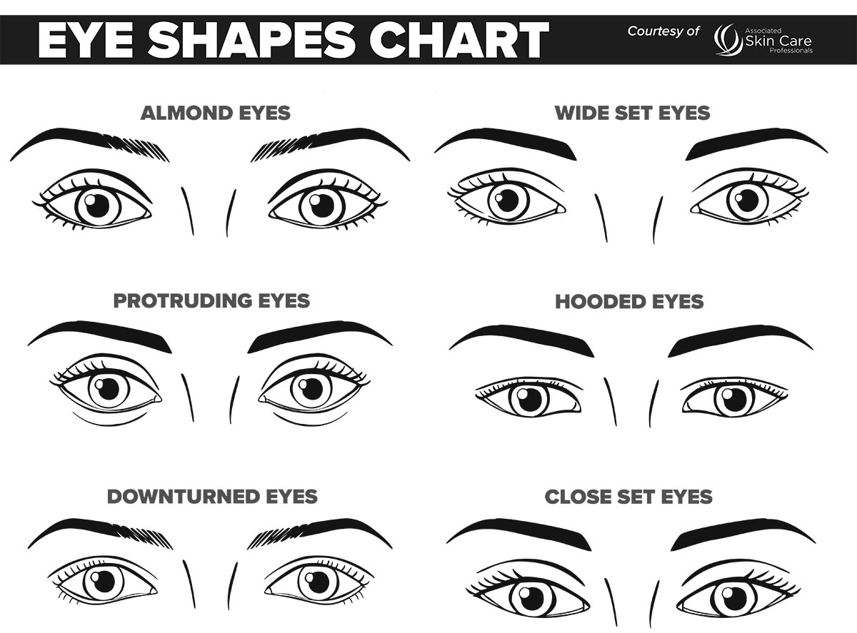 Printable Makeup Face Charts | Eye Shape Chart | Ascp in Shape Eye Chart Printable