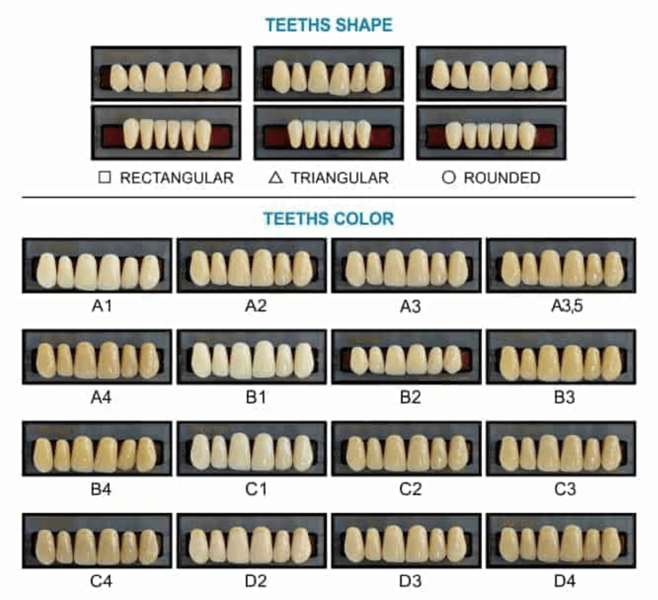Teeth Shape And Teeth Color Chart Download Printable Pdf with Tooth Color Chart Printable