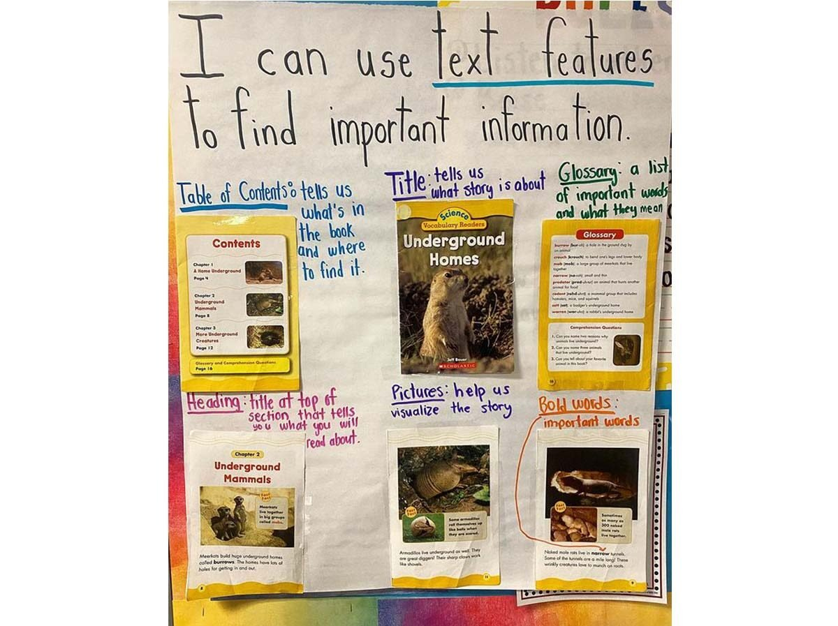 Text Feature Anchor Chart Ideas + Hands-On Activities Students with Text Features Anchor Chart Printable