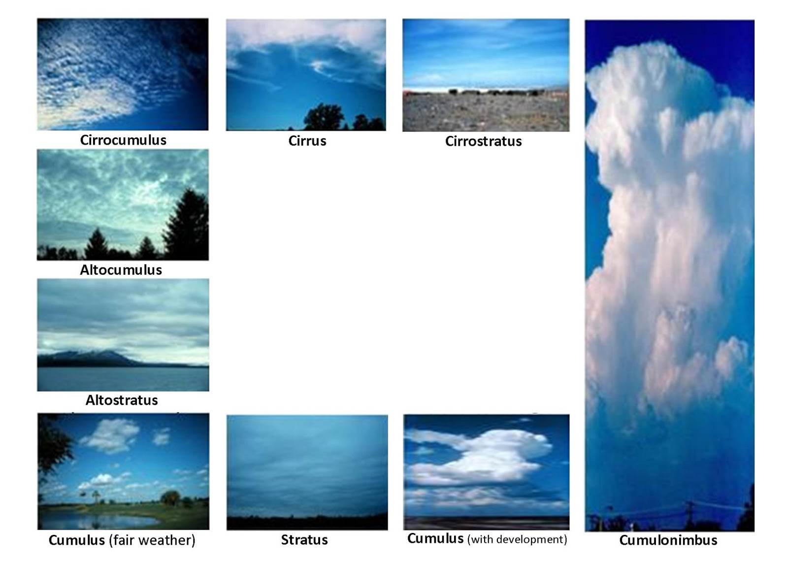 To The Cloud! Diy Cloud Identification Tool within Cloud Chart Printable