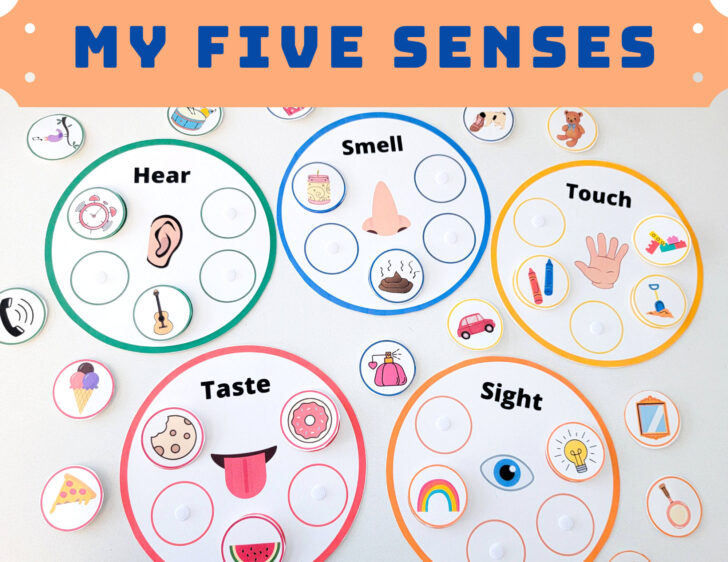 Five Senses Chart Printable