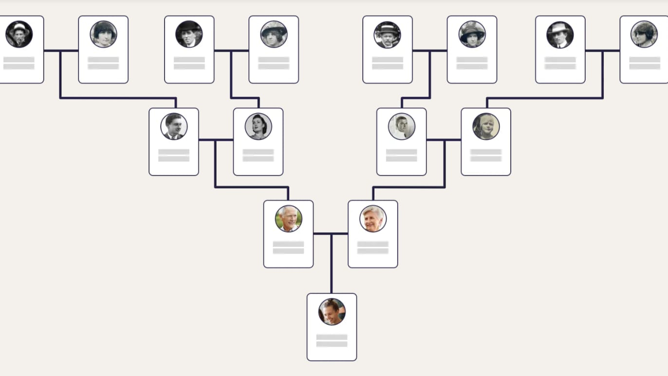 Use Our Free Family Tree Template To Kick-Start Your Family for Family Tree Chart Printable