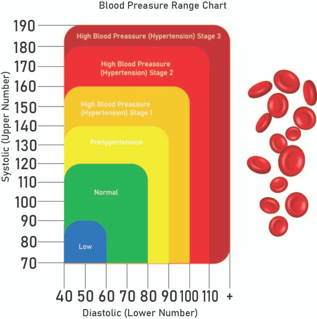 What Do Blood Pressure Readings Mean? | Elite Medical Training in Blood Pressure Range Chart Printable