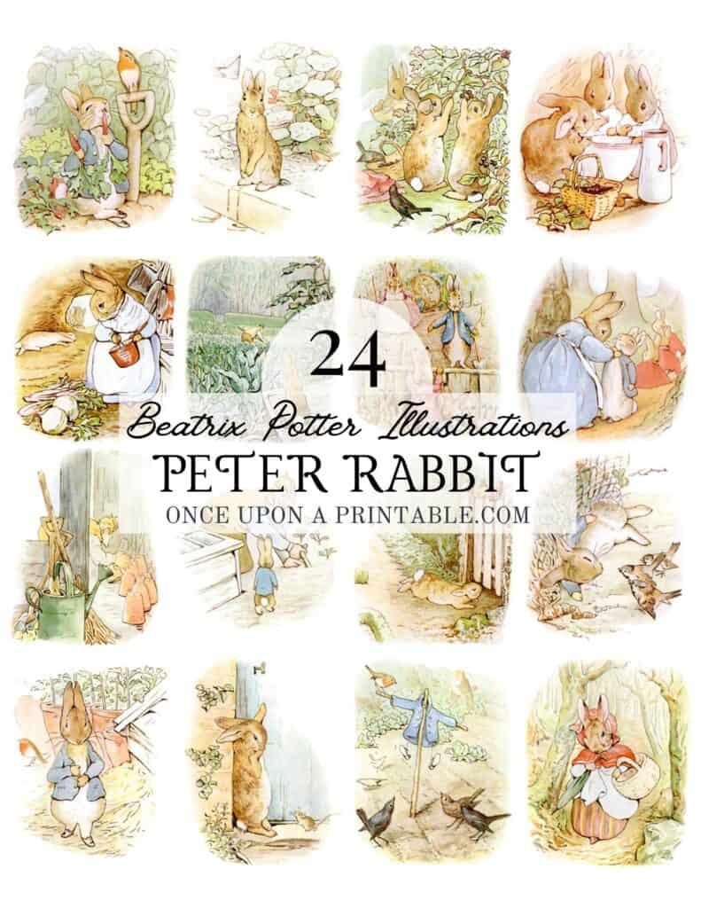 24 Tale Of Peter Rabbit Imagesbeatrix Potter Free - Once Upon for Beatrix Potter Free Printables