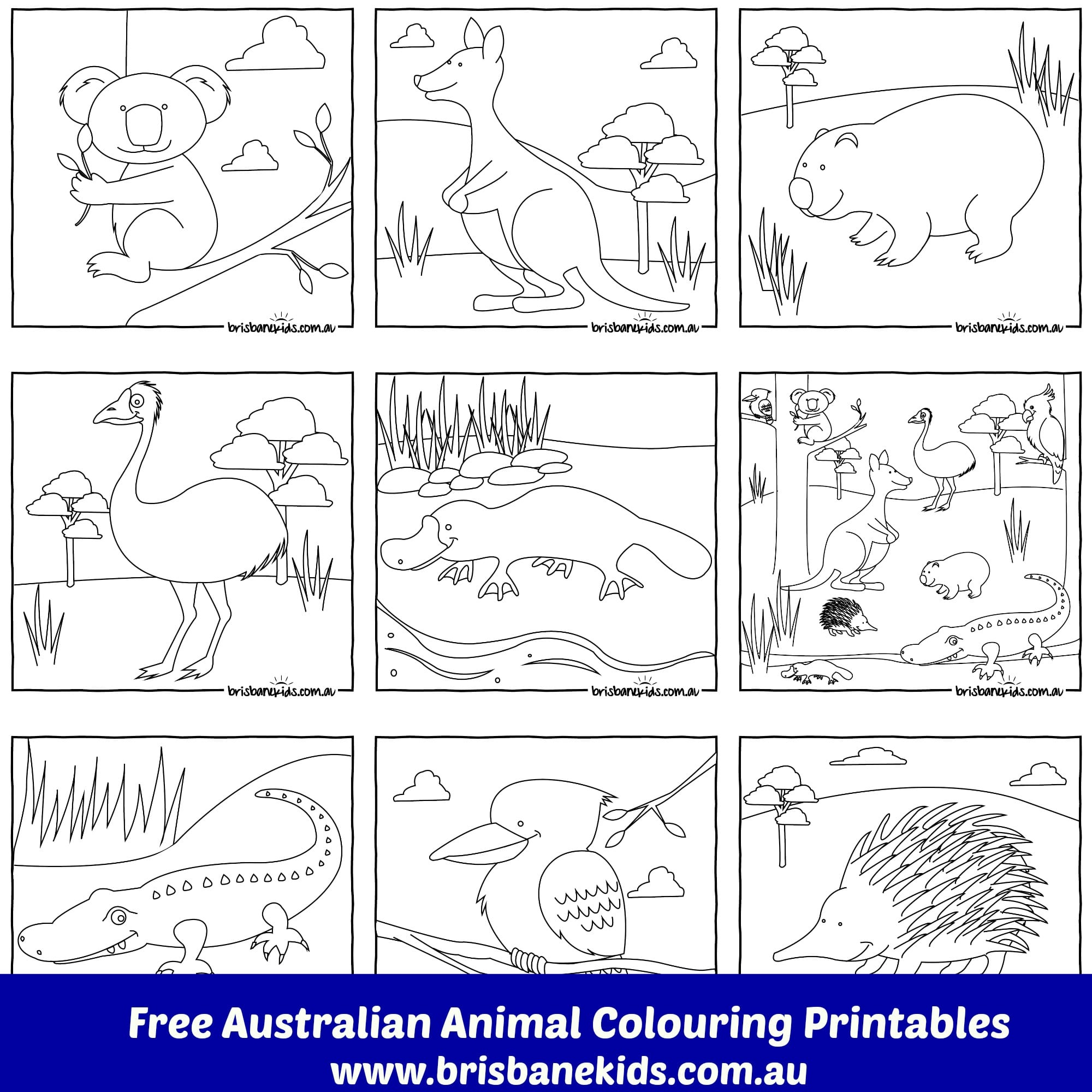 Australian Animals Colouring Pages - Brisbane Kids pertaining to Australian Animals Printables Free
