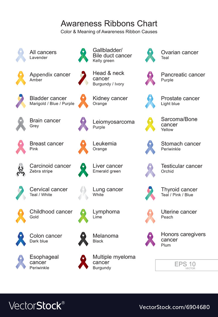 Awareness Ribbons Chart Royalty Free Vector Image in Cancer Ribbon Color Chart Printable