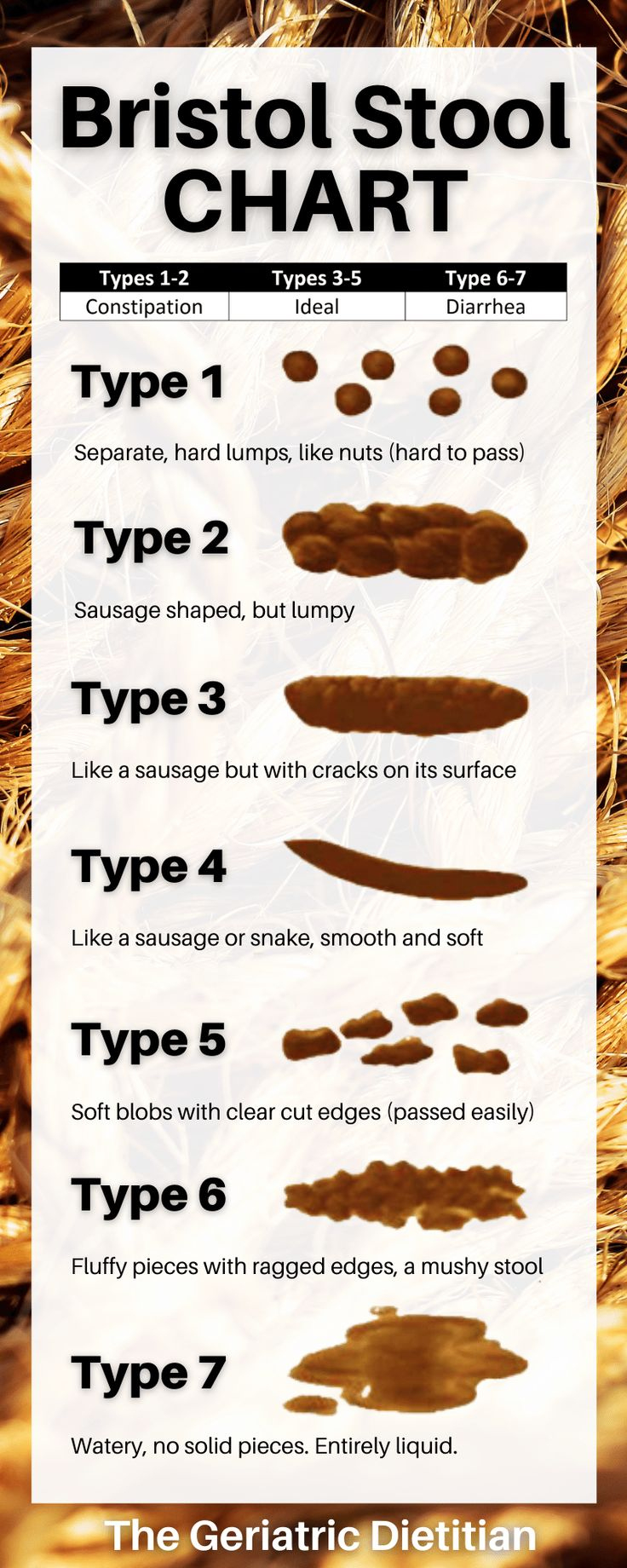Bristol Stool Chart Pdf intended for Bristol Stool Chart Printable
