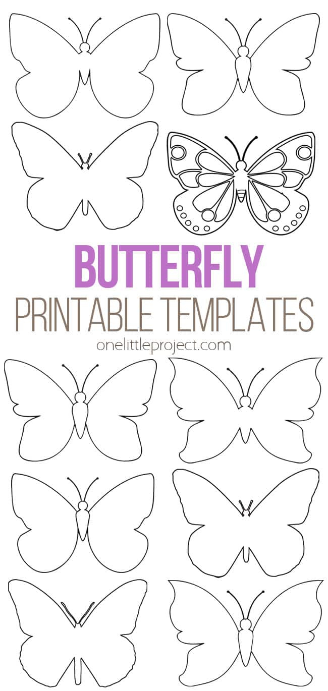 Butterfly Template | Free Printable Butterfly Outlines - One with regard to Large Printable Butterfly Stencil