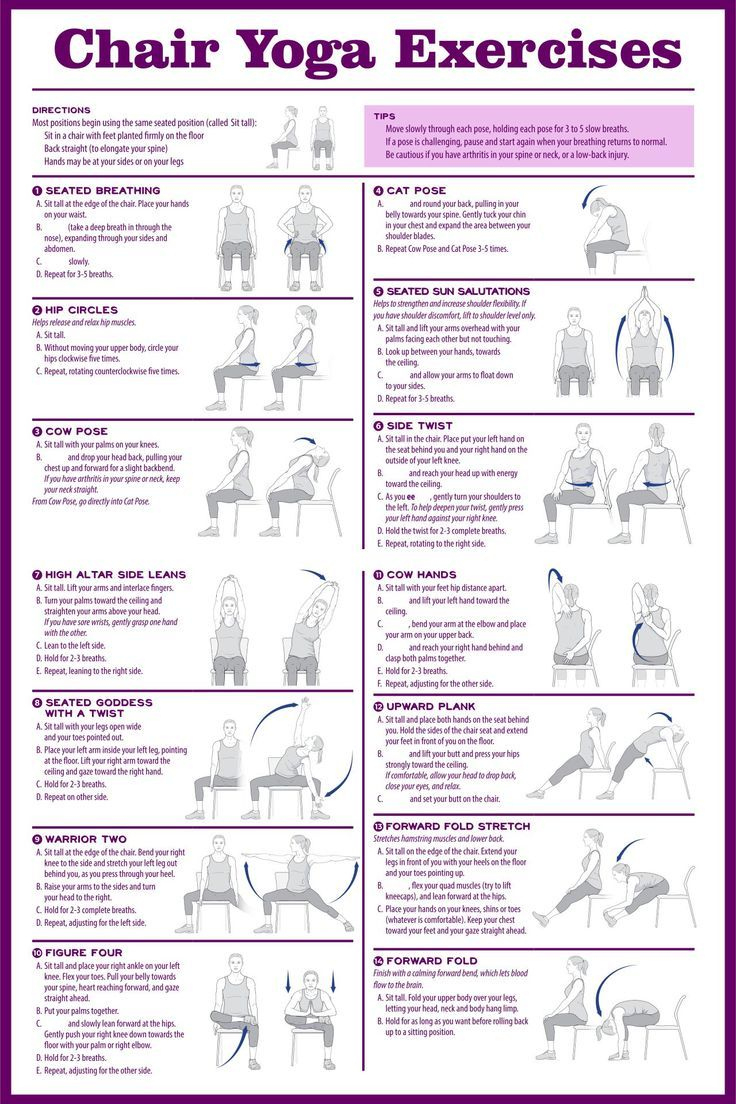 Chair Exercises For Seniors - 20 Free Pdf Printables | Printablee with 28 Day Chair Yoga For Seniors Chart Printable