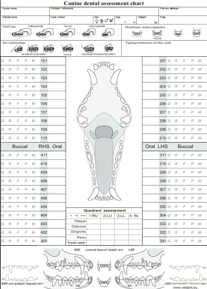Dental Chart: Assessment In Dogs (Canis) | Vetlexicon regarding Dog Dental Chart Printable