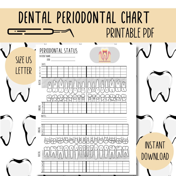 Periodontal Chart Printable