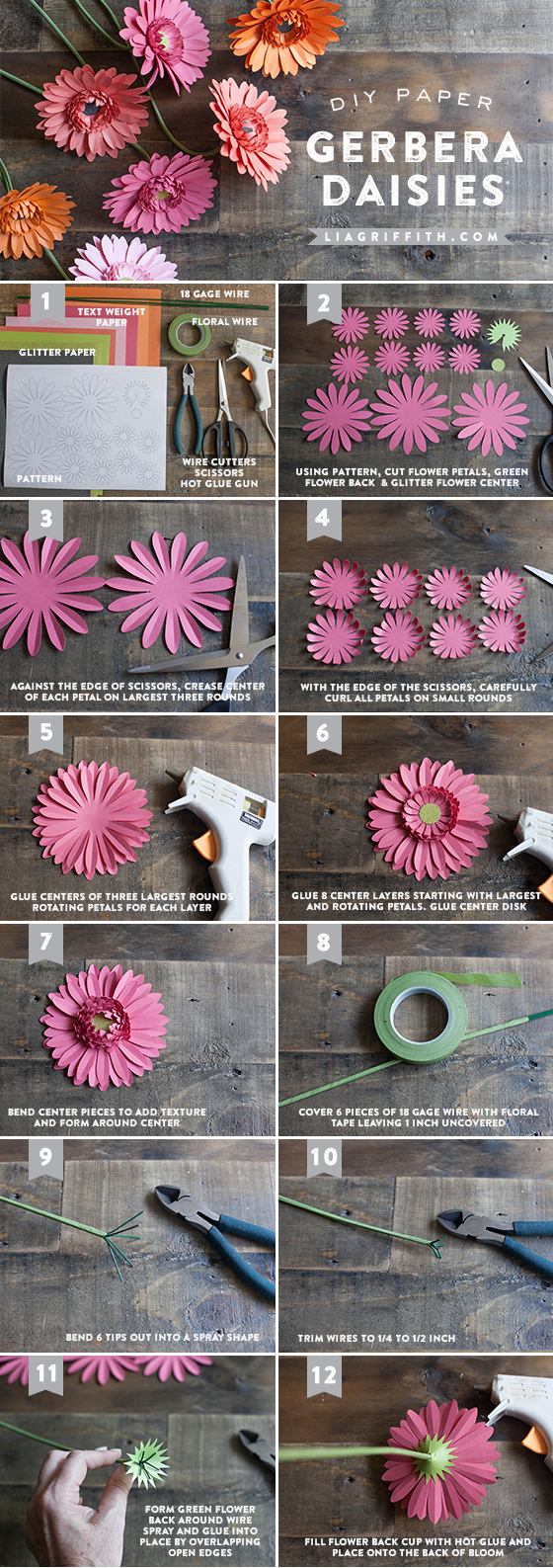 Diy Gerbera Daisy Paper Flower. inside Free Gerbera Daisy Template