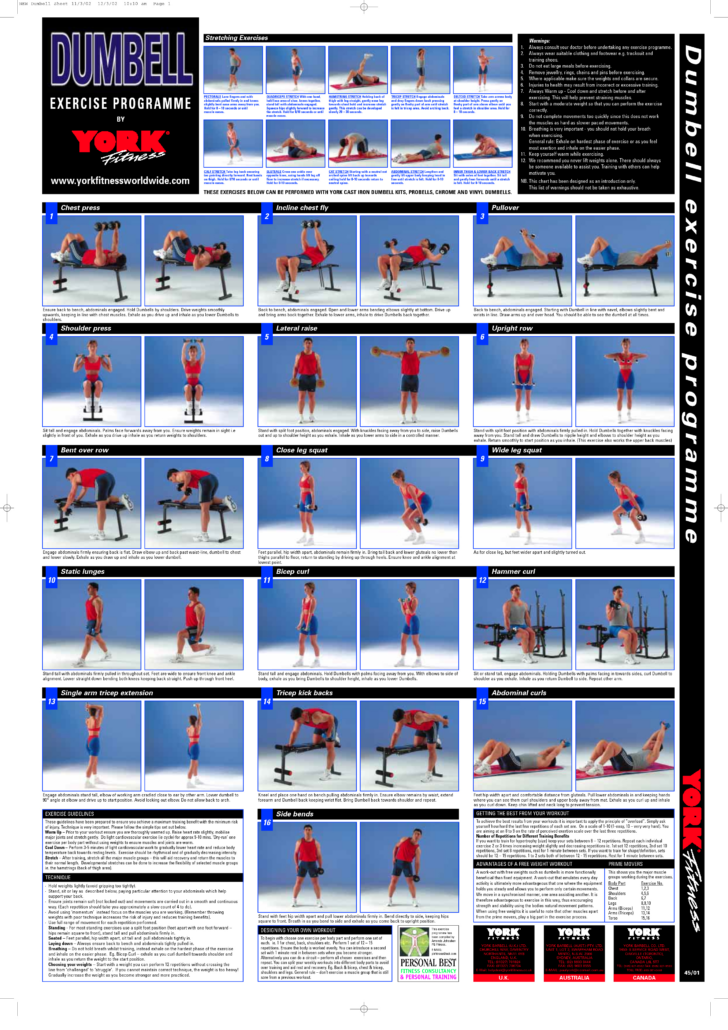 Dumbbell Exercise Chart Printable