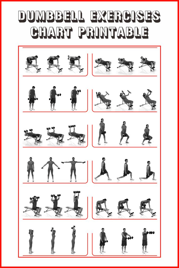 Dumbbell Exercises Chart - 10 Free Pdf Printables | Printablee regarding Dumbbell Exercise Chart Printable Free
