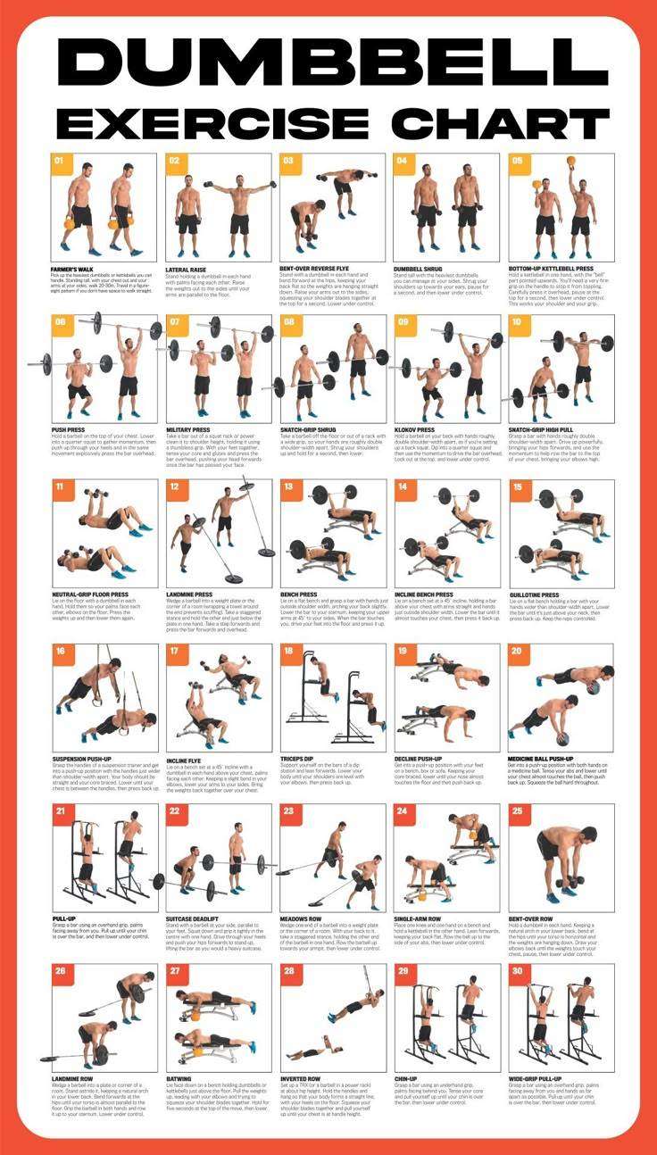 Dumbbell Workout Poster - 10 Free Pdf Printables | Printablee regarding Dumbbell Exercises Chart Printable