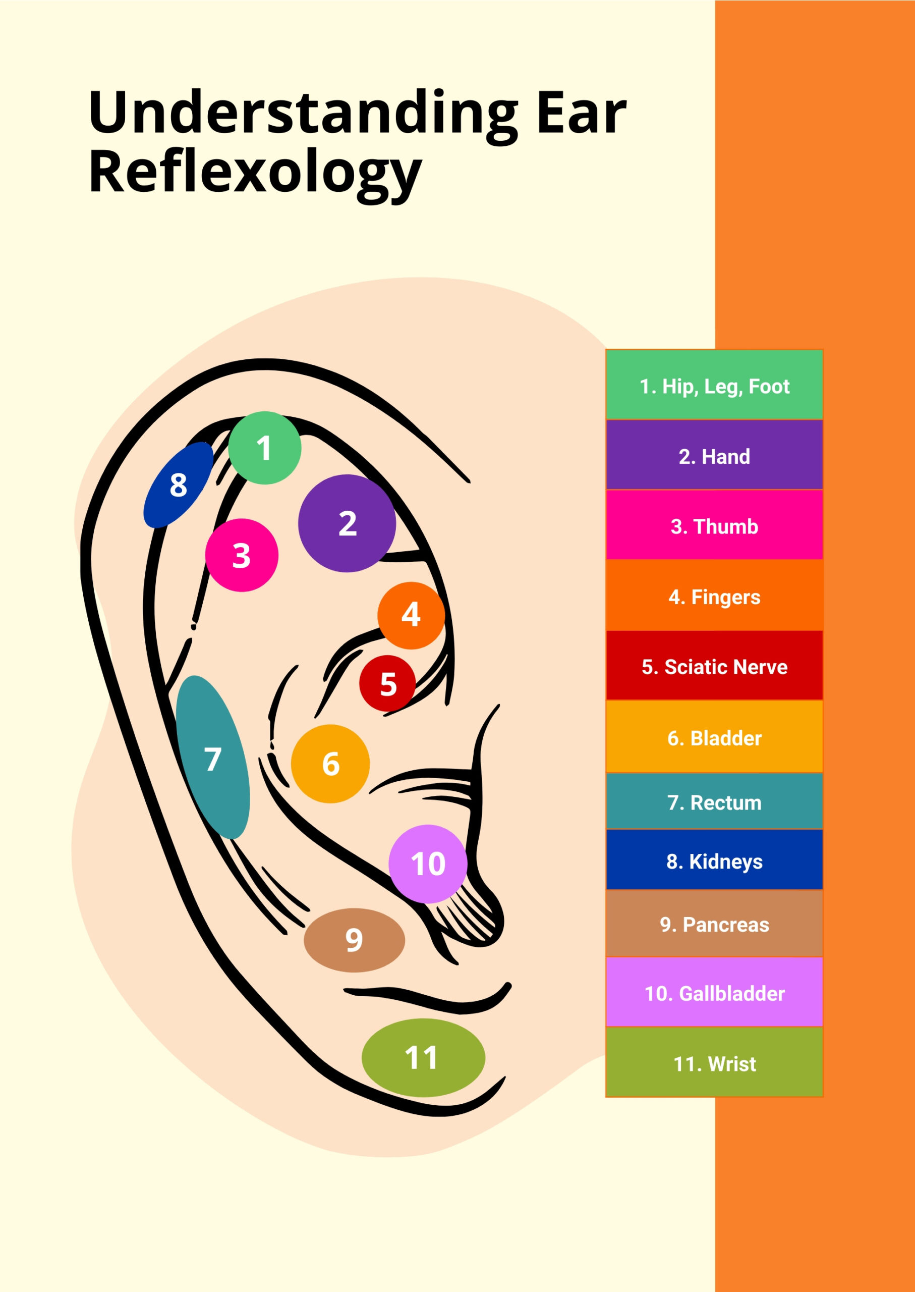 Ear Reflexology Chart In Illustrator, Pdf - Download | Template throughout Ear Reflexology Chart Printable
