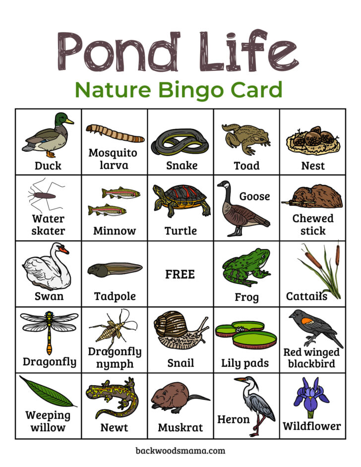 Free Pond Life Printables