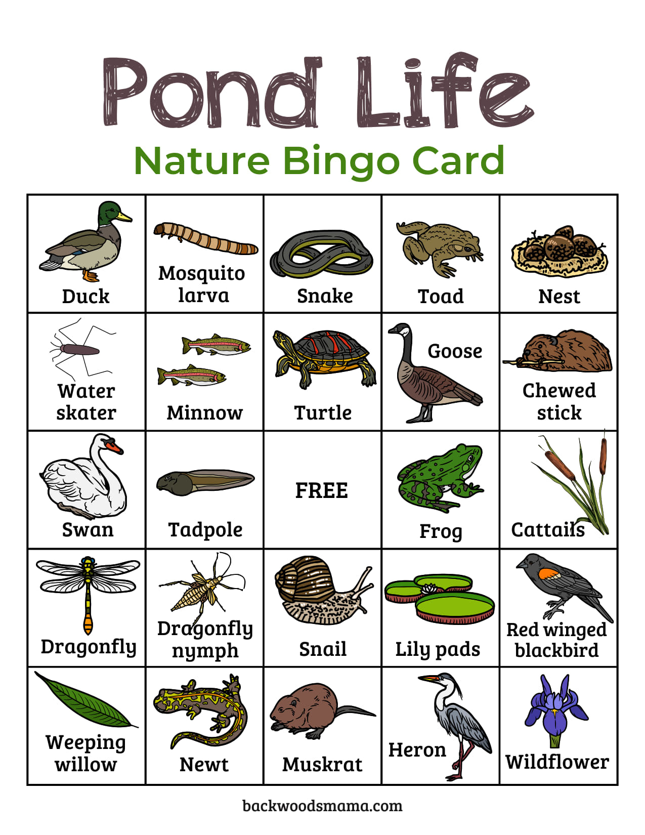 Explore Pond Wildlife With Free Printable Nature Bingo Cards in Free Pond Life Printables