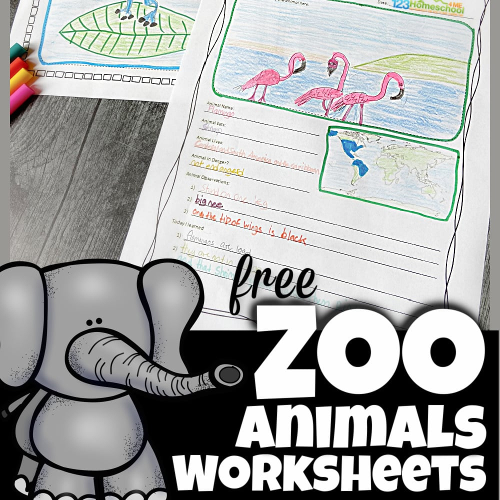 🐘 Free Zoo Field Trip Worksheet And Animal Reports regarding Free Zoo Field Trip Printables