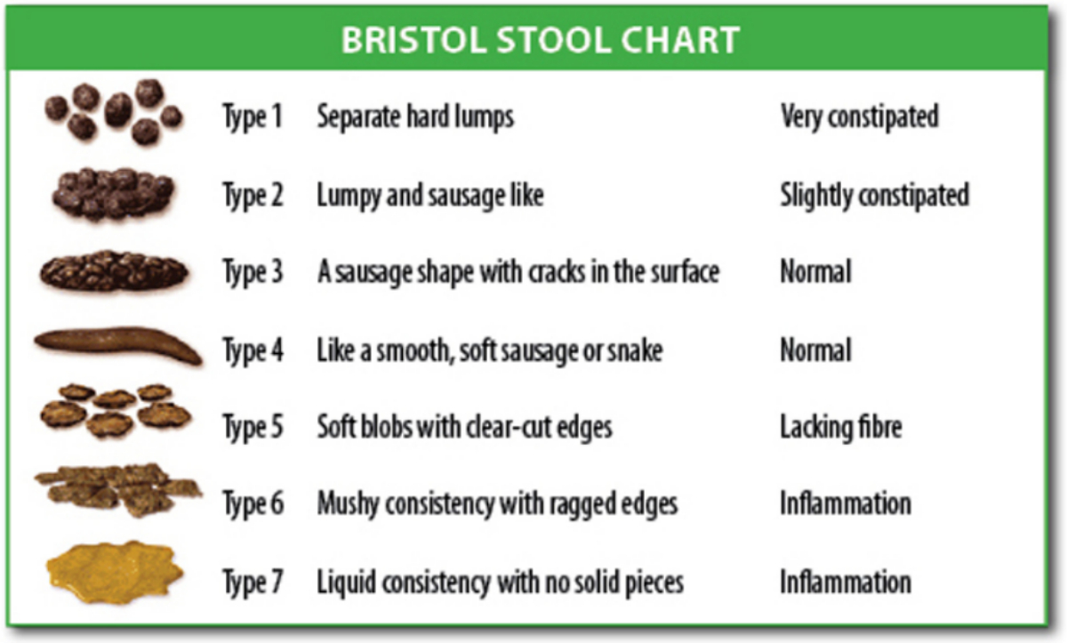 File:bristol Stool Chart.svg - Wikimedia Commons throughout Bristol Stool Chart Printable