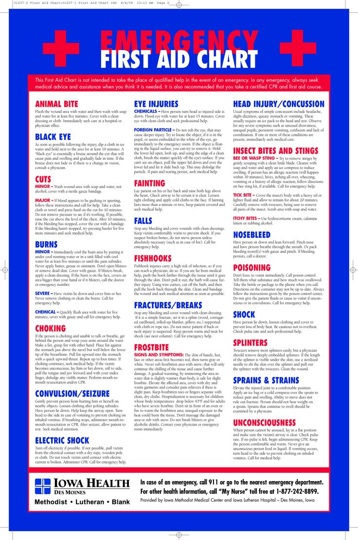 First Aid Chart - 15 Free Pdf Printables | Printablee throughout Free Printable First Aid Guide