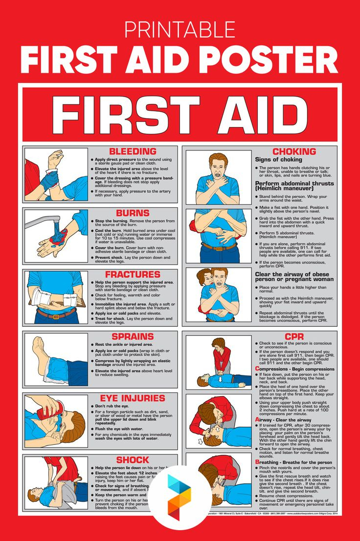 First Aid Poster - 10 Free Pdf Printables | Printablee for Free Printable First Aid Guide