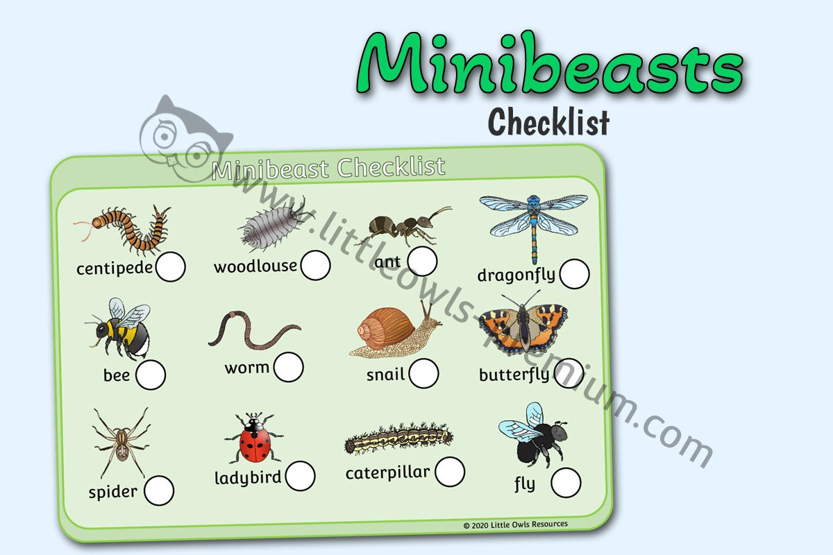 Free Minibeasts Checklist Early Years/Ey (Eyfs) Printable Download within Free Minibeast Printables