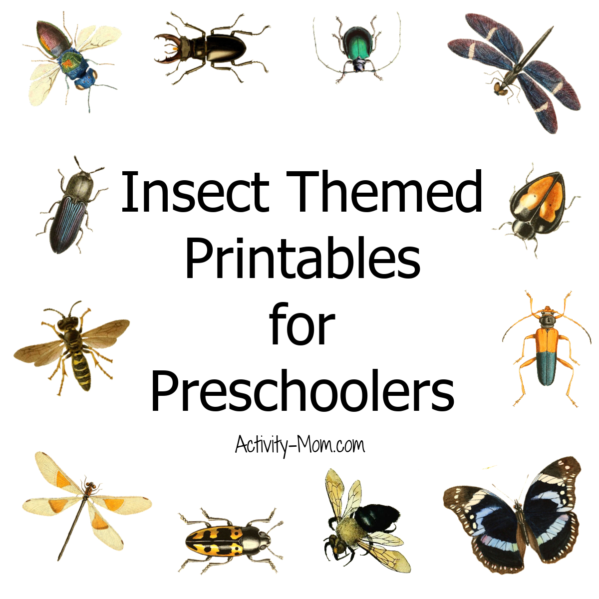 Free Preschool Insect Theme Printables And Activities - The regarding Free Minibeast Printables