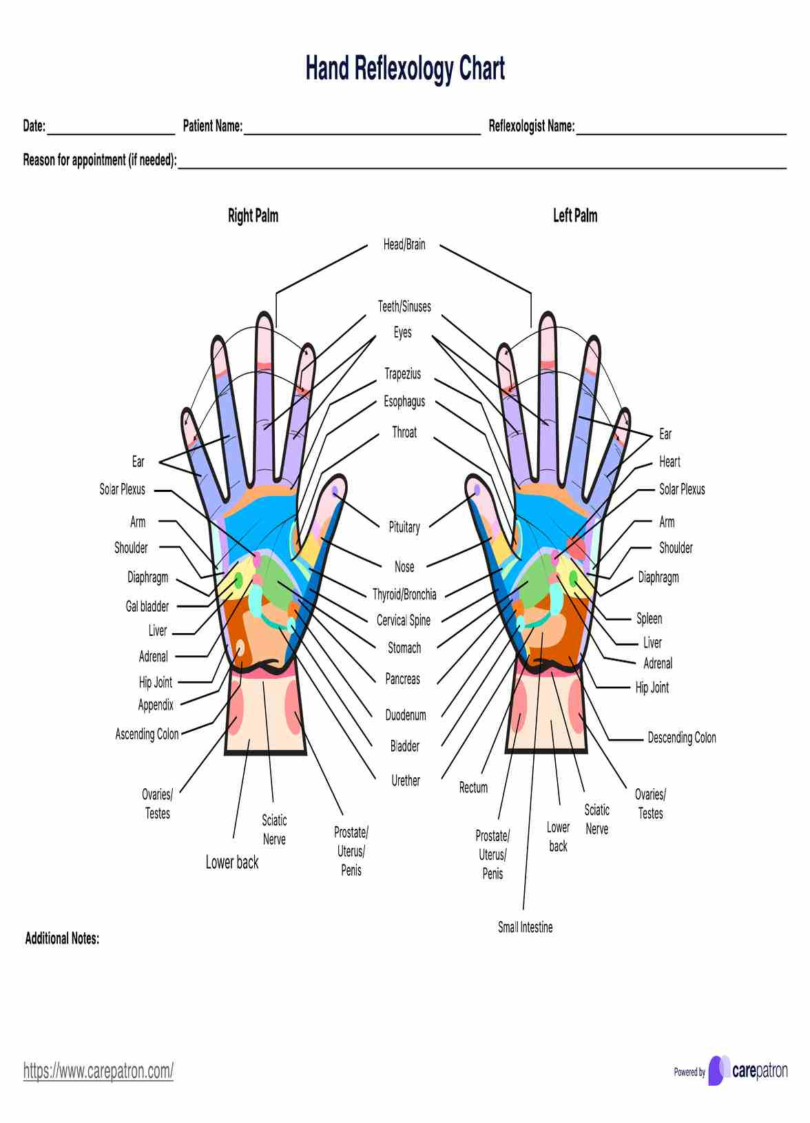 Hand Reflexology Chart &amp;amp; Example | Free Pdf Download throughout Reflexology Hand Chart Printable